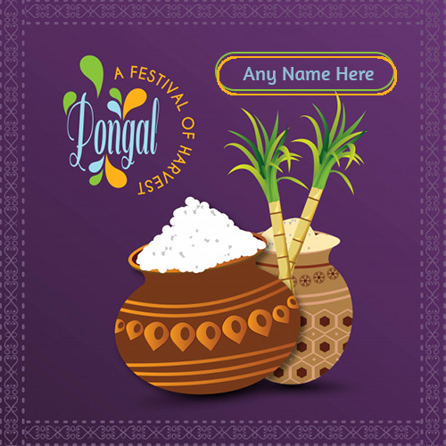 Write Name On Happy Pongal 2025 Photo Editor