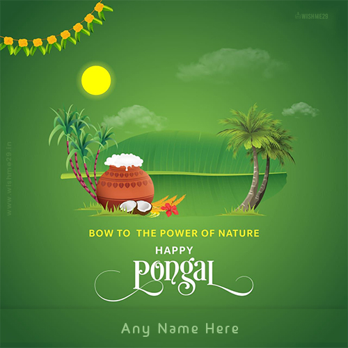 Write Name On Pongal 2023 Festival Images Wallpapers Write Name On Pongal 2023 Festival Images Wallpapers