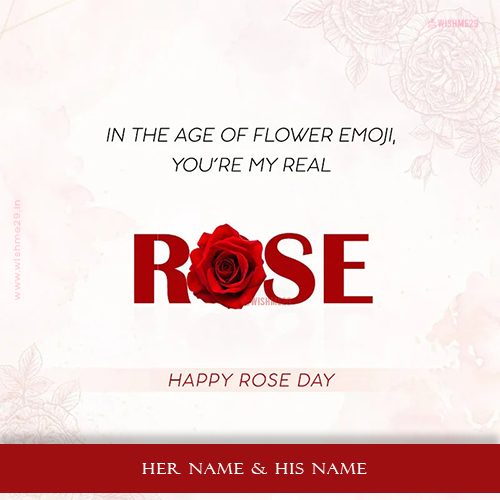 Happy Rose Day 2025 Whatsapp Dp With Name