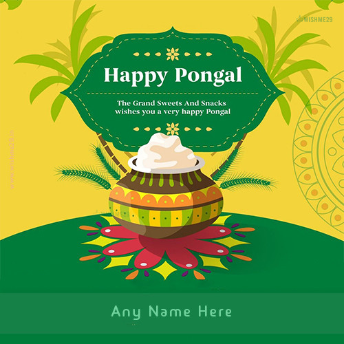 Wish Pongal 2024 Festival With Name Editor