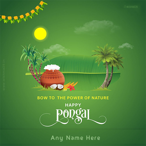 Write Name On Pongal 2024 Festival Images Wallpapers