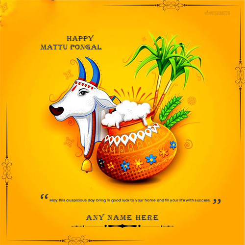 Wish You Happy Mattu Pongal 2024 With Name In Advance