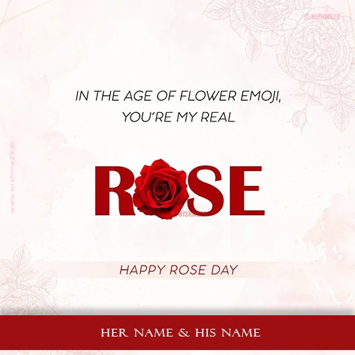 Happy Rose Day 2025 Whatsapp Dp With Name