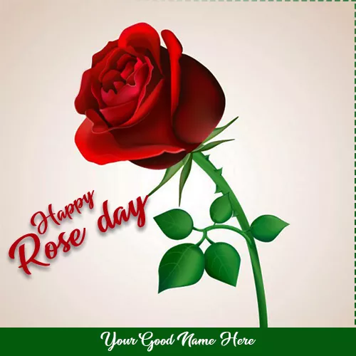 Write Name On Valentine Week List Rose Day 2020