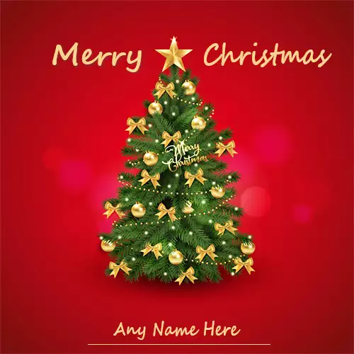 Merry Christmas 2024 Eve With Name