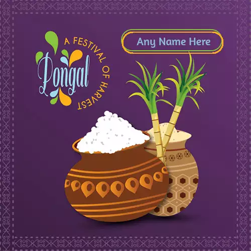 Write Name On Happy Pongal 2024 Photo Editor