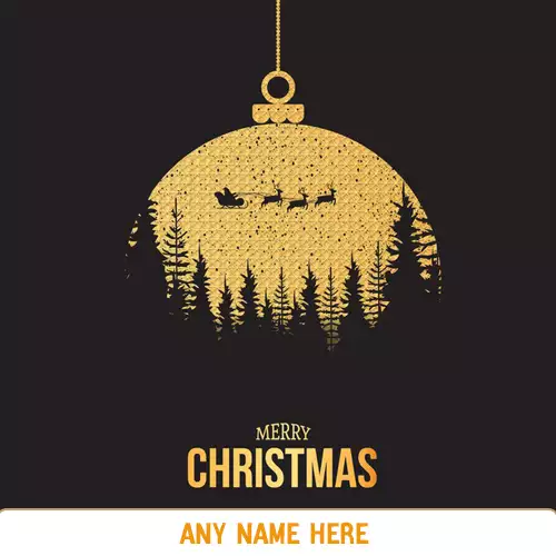 Write Name On Christmas Holiday Images 2024