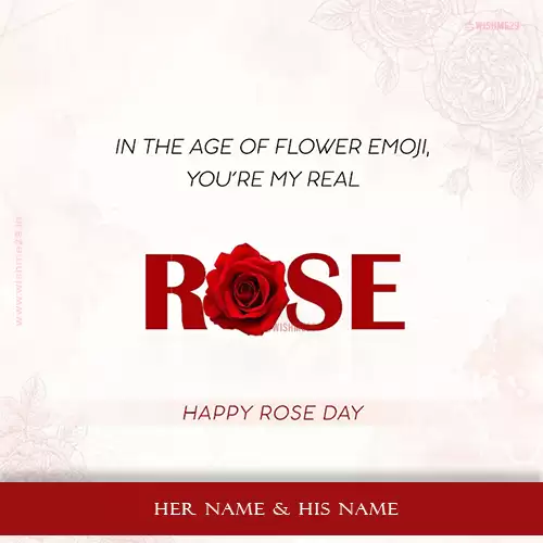 Happy Rose Day 2024 Whatsapp Dp With Name