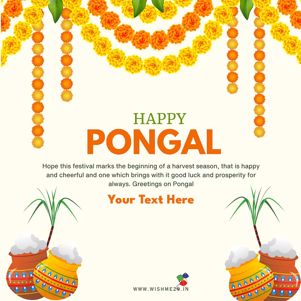 Pongal Day 2024 Wishes Greetings Images In English With Name
